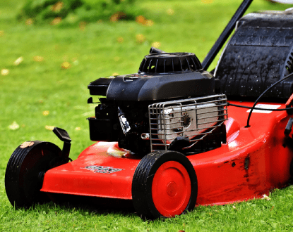 <p style="font-family: 'Poppins', sans-serif; font-weight: 700; font-size:24px;">LAWN CARE SERVICES</p>